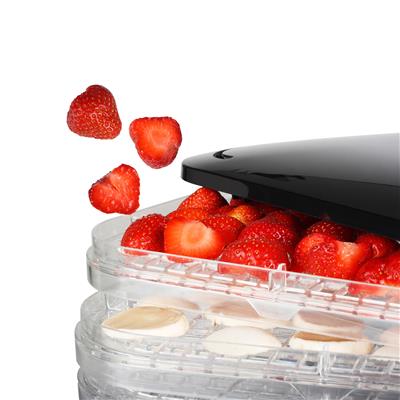 Princess 112382 Digital Food Dryer | Princess