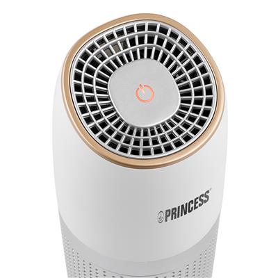 Princess 01.361000.02.001 Purificateur d'air de voiture