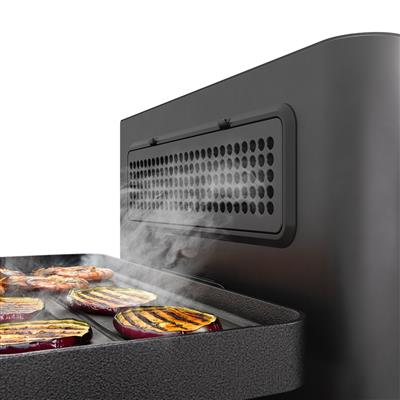Unbranded PD-4935CH Raclette Purify