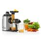 Princess 202042 Centrifugadora de Vitaminas-Slow Juicer