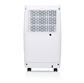 Princess 368010 Dehumidifier